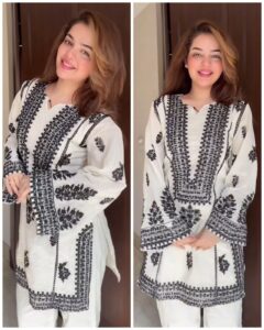 Pakistani Cotton Embroidered Coord